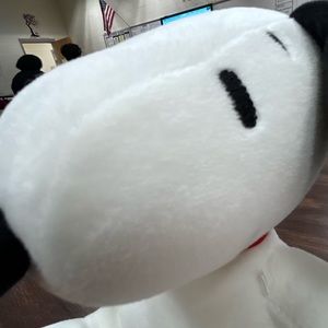 Meet your Posher, Eva